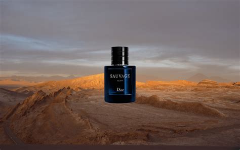 dior sauvage in canada|best deals on dior sauvage.